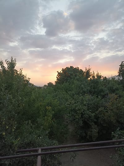 The image depicts an outdoor scene at dusk, likely in Aygezard, Armenia. The sky is filled with a mix of gray and white clouds, with a soft orange glow suggesting the setting sun. In the foreground, a dense growth of green trees and foliage dominates the lower half of the frame. Some of the trees appear to be fruit-bearing, with visible green fruits. A dark, horizontal railing or pipe structure runs across the bottom of the image, partially obscuring the view of the ground below, which appears to be a dirt path. In the background, beyond the trees, hints of buildings and distant hills are visible. The overall impression is one of a rural or semi-rural environment at the end of the day.