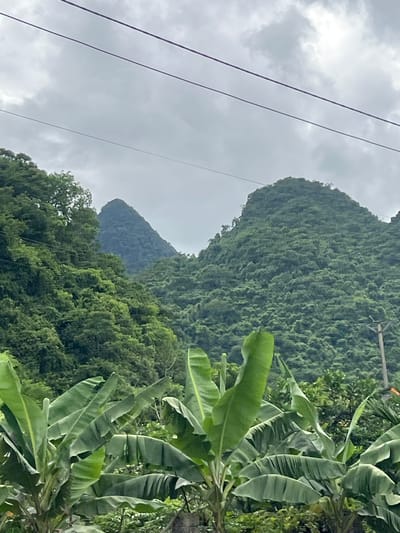 The image depicts a lush, green mountainous landscape under an overcast sky. In the foreground, several large banana leaves are prominently displayed, obscuring a portion of the view. Behind them, the slopes of two distinct, rounded mountains are covered in dense, verdant foliage. The mountains appear to be part of a larger range, with more distant, similarly covered peaks visible. Thin electrical wires stretch across the upper portion of the frame, against the grey sky. To the right, a utility pole with wires is partially visible amongst the trees. The scene is one of natural beauty, with the vegetation dominating the composition. The location is identified as Hà Giang 2 Ward, Vietnam.
