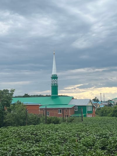 The image depicts a view from a field of crops, likely potatoes, towards a cluster of buildings. In the center, a prominent green minaret with a white spire topped with a golden crescent dominates the skyline. Adjacent to it, a brick building with a bright green roof and green trim is visible, featuring white-framed windows. To the right, another building with a gray roof and green trim, also with white-framed windows, stands alongside other colorful structures in the distance. The sky is overcast with heavy, dark clouds, but a sliver of lighter sky with yellowish hues can be seen towards the horizon. Trees are present on the left and right sides of the image, framing the buildings. The overall scene suggests a rural or semi-rural setting within the city of Bolshoy Kukmor, Russia. There are no people or animals visible in the frame.