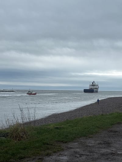 The scene depicts the Montrose Basin entrance at Montrose, United Kingdom, where the River Esk meets the North Sea, under a heavily overcast sky.

The foreground presents a dark, wet earth path transitioning into a strip of green grass with sparse, dry vegetation on the left. A wide, grey-brown pebbled beach extends into the mid-ground, meeting the water's edge. A lone individual, dressed in a blue jacket and dark trousers, is visible walking from left to right along the pebbled beach, facing the water.

On the water, a line of dark waterfowl floats parallel to the shore. In the mid-distance, a red and white pilot boat, generating a visible wake, moves from left to right. Further to the right and slightly behind it, a large grey and blue offshore supply vessel (OSV) or cargo ship is observed, stern-first, navigating the waterway. To the far left, a stone breakwater with a green navigational beacon extends into the water. The water exhibits moderate chop, indicating some wind or current.
