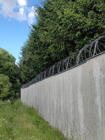 This is a medium-angle, eye-level, outdoor, vertical shot of a concrete wall topped with coiled barbed wire, situated in the city of Il'inskoe, Russia. The wall runs diagonally from the lower right to the upper left of the frame. The concrete wall is textured and shows vertical lines indicating its construction. Behind the wall, dense evergreen trees and some deciduous trees form a thick canopy. Above the trees, a bright blue sky with scattered white clouds is visible. In the foreground, to the left of the wall, is a grassy area with scattered wildflowers and some taller weeds. The scene appears to be in a rural or semi-rural setting, possibly along a road or boundary.