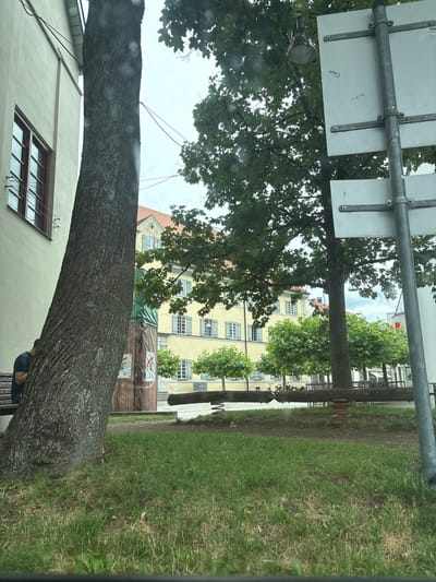 The image depicts a view of a street or park area in Kaufbeuren, Germany. In the foreground, a large tree trunk is prominently positioned on the left, obscuring a portion of a light-colored building with a dark-framed window. A person is seated on a bench to the left of the tree. Behind the tree, a section of a wooden structure with posters is visible.

Further into the scene, a yellow building with multiple windows and light blue shutters stands in the background. Several trees with rounded canopies are planted in rows in front of the yellow building. A children's seesaw made of wood and springs is situated in the middle ground, partially obscured by the trees and foreground elements. A metal pole with signs is visible on the right side of the image. The ground is covered in grass, with some areas of dry grass and sparse vegetation. The sky is overcast.