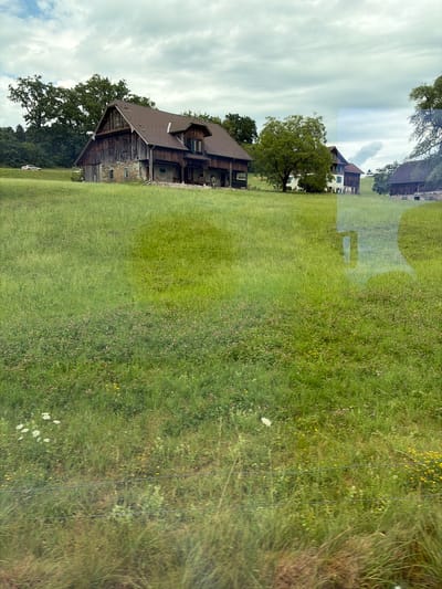 An exterior, full shot captures a grassy hillside with several buildings in the distance, set against a cloudy sky. The foreground is dominated by a field of green grass with scattered wildflowers, including small pink and yellow blooms, and some white clusters. A thin wire fence runs horizontally across the lower portion of the image.
In the mid-ground, a large, rustic wooden barn with a stone foundation stands prominently on the left. It has a dark brown roof with multiple gables and dormer windows. To the right of the barn, a white building with green shutters is partially visible, situated behind a large, leafy green tree. Further to the right, another dark wooden building with a gable roof is visible. A light-colored vehicle is parked on a grassy area to the left of the barn. Reflections of indistinct shapes are visible on the surface from which the photo was taken, appearing as translucent, pale blue and gray forms, particularly in the mid-ground and right side of the image.
The scene appears to be a rural or semi-rural area, possibly a farm or an estate, in Meggen, Switzerland, given the architectural style of the buildings and the verdant landscape. The lighting is soft and diffused, indicating an overcast day.