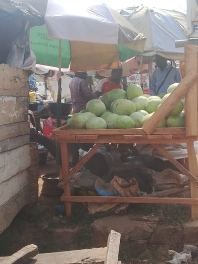 This image captures an outdoor market scene in Abeere, Nigeria, characterized by makeshift stalls and multiple individuals. In the immediate foreground, a wooden display stand holds a large pile of approximately 25-30 pale green, round or oblong melon-like fruits. The stand is constructed from unfinished lumber. To the left of the stand, a rough-hewn wooden wall or structure is visible. Underneath the fruit stand, various items are stored, including plastic and burlap bags, suggesting goods or refuse. The ground surface is uneven, consisting of dirt, sparse grass, and some concrete or rock fragments.
In the mid-ground, several individuals are present under a canopy of multiple umbrellas and tarpaulins providing shade. From left to right: a man in a reddish-brown long-sleeved garment stands near a black cooking pot or basin; another man in a red and white short-sleeved shirt is positioned behind the fruit stand, facing towards the left; and a third man in a light blue shirt with a dark strap across his chest stands to the right of the fruit display, looking towards the left. Partially visible in the background are additional market structures, a road, and other people. The overhead canopy comprises white, green, beige, and brown sections. Inverted text on a green background, possibly part of a sign, reads "ЭТООЗ". The scene is brightly lit, indicating daytime.