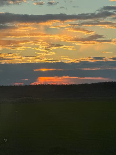 The image captures a vibrant sunset or sunrise over a rural landscape in Krasnaya Zarya, Russia. The sky, occupying the upper two-thirds of the frame, is filled with dramatic, elongated clouds streaked with vivid hues of golden yellow and fiery orange, contrasting with darker grey cloud formations. The sun's intense light, a brilliant orange glow, is visible just above a distant, dark treeline that forms a horizontal silhouette across the middle of the image, marking the horizon.
Below the treeline, the foreground consists of a vast, dark field or open land, almost entirely obscured by shadows, appearing in shades of deep green and black. No specific details, structures, or activity are discernible on the ground, emphasizing the natural expanse. There are no people or prominent objects visible. The overall scene evokes a sense of tranquil natural beauty, with the dramatic sky being the focal point, suggesting a peaceful evening or morning in the countryside. No text is visible in the image.