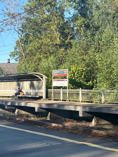 The image depicts a train station platform in Kuzmolovskiy, Russia. A solitary figure is seated on a bench under a shelter, engrossed in their phone. The platform is lined with a decorative metal railing, and behind it, lush green trees form a dense backdrop. The scene is bathed in sunlight, casting shadows and highlighting the details of the station. Train tracks are visible in the foreground, indicating active railway operations. The overall impression is one of a quiet, functional public space on a bright day.