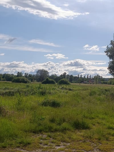 The image depicts a rural landscape with a wide expanse of green grass in the foreground, leading to a line of trees in the mid-ground. A few buildings, including what appears to be a brick house and a smaller structure, are visible among the trees. The sky is a pale blue, dotted with white, fluffy clouds. The scene appears to be set in the city of Khorol, Ukraine, suggesting a typical countryside view within or on the outskirts of the city. There are no people or animals visible in the image. The overall impression is one of a serene, natural environment under a partly cloudy sky.