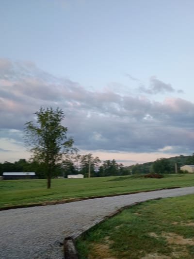 The image depicts a rural scene with a gravel path leading through a grassy field. In the background, there is a line of trees and some farm buildings, including a long, dark-roofed structure and a smaller white building. A single tree stands prominently in the middle ground. The sky above is partly cloudy with hues of pink and gray, suggesting it might be sunrise or sunset. The location is identified as Jeffersonville, United States of America.