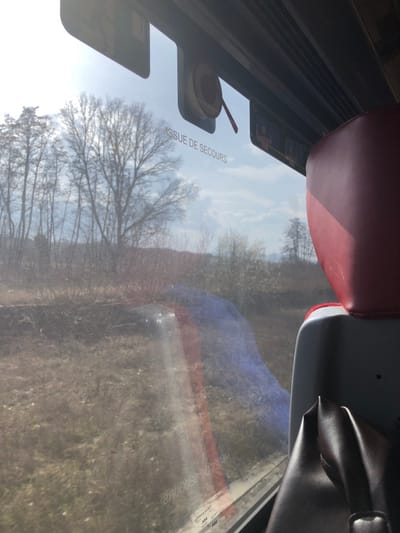 The image displays a view from inside a vehicle, likely a train or bus, looking outward through a window. The scene is illuminated by natural daylight, causing reflections and glare on the glass surface.

Inside the vehicle, the upper portion of a red-upholstered seat with a lighter gray frame is visible on the right. Below it, a dark brown or black object, possibly a personal item or part of another seat, is partially seen. The interior window frame is dark. Printed directly on the window glass are the French words "ISSUE DE SECOURS" (Emergency Exit). Above this text, a circular red object with a dangling strap, consistent with a safety hammer or emergency tool, is affixed to the window frame.

Outside the vehicle, the landscape consists primarily of a rural or semi-rural environment. The ground appears to be covered with sparse, dry vegetation, suggesting a late winter or early spring season. A horizontal strip of ground, possibly an embankment or a track, runs across the mid-ground. Numerous bare deciduous trees dominate the mid-ground and background, interspersed with some evergreens. The sky above is light blue with scattered white clouds. No people are visible.

This scene is located in the general area of Steinbourg, France.