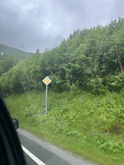 This is a photograph taken from inside a vehicle in Røldal, Norway. The scene depicts a roadside environment with lush green vegetation, including trees and wildflowers, lining a paved road. A diamond-shaped road sign with a yellow center and a white border is visible on the right side of the road, indicating a priority road. The sky is overcast and appears to be a cloudy or rainy day, with the surrounding landscape slightly blurred due to the vehicle's movement. The overall impression is one of a natural, rural setting during daytime. There is no visible text in the image.