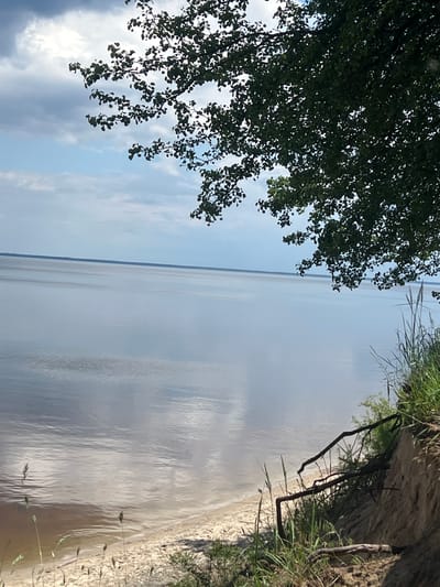 This is an outdoor, eye-level, medium-shot photograph taken on a sunny day with scattered clouds. The foreground features a sandy embankment with green grass and exposed tree roots. A large tree branch with green leaves extends into the frame from the top right. The middle ground is dominated by a calm body of water, possibly a river or lake, reflecting the sky. A thin, dark horizon line separates the water from the sky in the background. The overall scene depicts a natural landscape with elements of a shoreline. The location is identified as Lyutizh, Ukraine. There are no people, animals, or specific actions depicted in the image.
