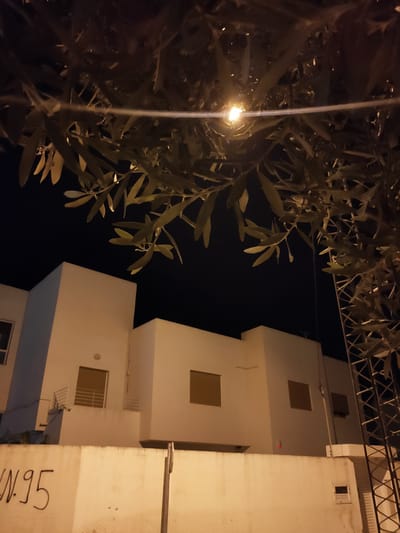 In an outdoor nighttime scene, a view is presented of a white building with several windows, some covered by shutters. The building is situated behind a white wall that has graffiti on it. Above the building, a tree with dark leaves hangs over the scene, partially obscuring a bright light source. To the right of the building, a metal structure, possibly a fence or part of a building, is visible. The image has a dark background, indicating the absence of daylight.