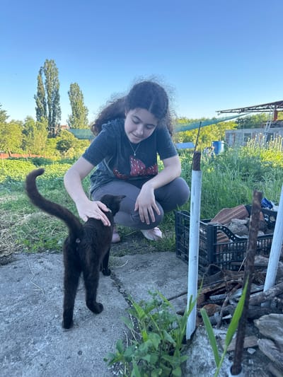 In Ravna Gora, Bulgaria, on a bright, sunny day, a young woman with long, dark, curly hair crouches on a concrete path. She is wearing a dark t-shirt with a red graphic and dark pants. Her right hand gently pets a black cat. The cat is facing away from the viewer, with its tail raised high. The environment is rural, with tall trees and lush green vegetation visible in the background. In the foreground, to the right of the cat, a black plastic crate is filled with bricks and debris, and some rusty metal rods are propped up nearby. The ground is a mix of concrete and dry grass. The sky is a clear, bright blue.