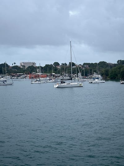 The image depicts a cloudy day at a marina in Pointe-à-Pitre, France. A body of water is filled with numerous sailboats of varying sizes, some docked and others at anchor. In the background, a lush green hillside is dotted with trees and buildings, including a large, light-colored multi-story structure. There is also a prominent orange construction crane visible near the shore. The water appears slightly choppy, indicating a breezy or unsettled weather condition. No people are clearly discernible in the image.