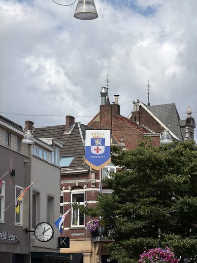 The image depicts a street scene in Roermond, Netherlands, under a cloudy sky. A banner with a coat of arms, reading "HAMSTRAAT," hangs from a wire strung across the street. The banner features a blue and white shield with a lion and a fleur-de-lis.

Buildings line the street, characterized by their tiled roofs, brickwork, and various architectural styles. Several chimneys are visible on the rooftops. On the left side of the image, a light-colored building has windows and flags attached to its facade. A round clock is mounted on this building, displaying the time as approximately 10:07. Below the clock, text reads "OOGVERBLIND Leenarts SINCE 1932."

To the right of the clock, a building with red brick and white accents features multiple windows. Another banner, with red and white stripes, is attached to this building. A street sign reading "KLOOSTERWANDSTRAAT" is visible on this building.

In the foreground, a large green tree with dense foliage dominates the right side of the frame. Below the tree, colorful flowers, predominantly pink and purple, are displayed in hanging baskets. A street lamp is visible amidst the foliage. The overall impression is of a European street with historical architecture and a vibrant display of nature.