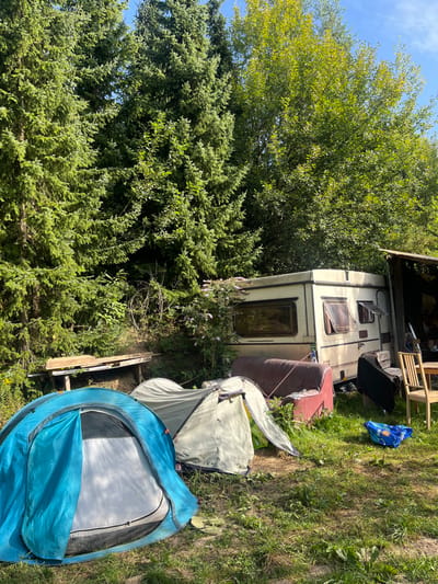 An outdoor scene in Sint-Pieters-Leeuw, Belgium, displays a temporary or semi-permanent encampment under a clear blue sky. The foreground features an uneven, grassy terrain. Two dome tents are pitched: a blue and white tent occupies the immediate foreground on the left, and a light green/grey tent is positioned behind and slightly to its right. A pair of green flip-flops lies on the ground near the entrance of the light green tent. To the right of the tents, a worn, reddish-brown sofa rests on the ground directly in front of a light-colored recreational vehicle (caravan) with brown-framed windows, some of which are open. A green bush with clusters of small pink flowers grows adjacent to the left side of the caravan. To the far left, a rough wooden table or workbench is situated near a dense stand of tall coniferous trees. To the right of the caravan, under a dark, improvised shelter, a wooden table and several wooden chairs are visible, with indistinct objects on the table surface. A blue plastic bag is present on the ground to the right of the sofa. Tall evergreen trees form a dense backdrop across the left and central background, with lighter green deciduous trees visible on the upper right. No individuals are present in the scene.