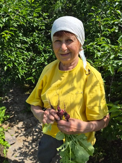 An elderly woman wearing a yellow t-shirt and a white headscarf is holding freshly harvested radishes in her hands. She is standing outdoors, surrounded by lush green foliage, suggesting a garden or natural setting. The sunlight casts dappled shadows on the ground, indicating it is daytime and likely sunny. The woman appears to be smiling, conveying a sense of contentment or pride in her harvest. The radishes have red skin and green leaves still attached, showing they were recently pulled from the soil. The background shows more greenery, possibly from trees or bushes, and a pathway or ground covered in stones and dirt. The overall scene evokes a feeling of rural life and the satisfaction of gardening.