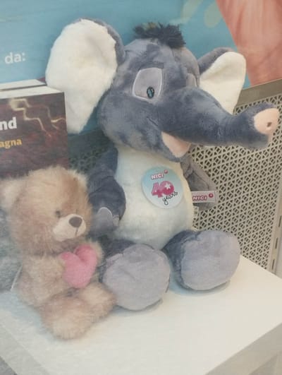The image displays two plush toys positioned on a white surface, set against a light blue background. A white patterned grate-like structure is visible on the right side of the background.
The larger toy is a grey elephant plush, seated with prominent white inner ears, blue embroidered eyes, and a short trunk ending in a light pink tip. A circular blue tag on its chest clearly shows "NICI 40 years" in white and pink lettering, celebrating an anniversary for the NICI brand. A smaller, rectangular "NICI" tag is also attached to its side.
To the left of the elephant, a smaller, light brown teddy bear plush is seated, holding a small, textured pink heart between its paws.
On the far left of the image, a portion of a brown display card or book is visible against the blue background, showing partial text including "nd" and "agna". Above this, the word "da:" is visible on the blue wall. The scene appears to be an indoor display, possibly in a shop or exhibition setting in Bellinzona, Switzerland. No people are visible, and the toys are stationary, presented for viewing. The lighting is even, suggesting an indoor environment.