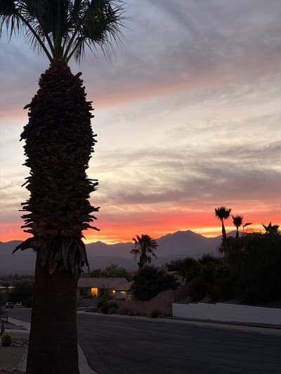 In Desert Hot Springs, United States of America, a street view captures the vibrant hues of a sunset. The foreground is dominated by the silhouette of a large palm tree, its trunk textured with dried fronds. To the right, a residential street curves away, lined with homes and vegetation. A house with illuminated windows is visible in the midground. In the background, a range of mountains is silhouetted against the fiery sky, painted with oranges, pinks, and purples. The sky itself is a blend of these sunset colors transitioning into a soft gray, with wispy clouds adding texture. Palm trees are scattered throughout the scene, enhancing the desert landscape. The road surface shows some wear and cracks. A vehicle is parked on the left side of the street.