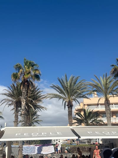 The image captures a bright, sunny outdoor scene, characteristic of a tropical or Mediterranean resort setting. The photograph is currently oriented vertically, but would be viewed as a landscape image if rotated 90 degrees counter-clockwise.
The upper portion of the corrected image is dominated by a clear, vibrant blue sky, dotted with a few soft, white clouds, particularly in the mid-left area. Numerous tall palm trees with lush green fronds are scattered across the scene. A prominent palm tree stands in the mid-ground, extending from the bottom of the image towards the top-right. Other palm trees are visible on the left and right sides, some partially cropped.
In the mid-right background, behind some of the palm trees, a light-colored building with balconies, possibly a hotel or apartment complex, can be seen. Extending from the building towards the lower-right foreground is a large, gray awning or canopy. On the side of this awning, the words "PEOPLE BEACH" are clearly visible in white capital letters, stacked vertically if the image were unrotated.
Below the awning and to the right, an outdoor leisure area is visible. The ground in this area appears to be made of dark, textured material, possibly volcanic stone or pebbles. Several people are present, engaged in various leisurely activities. Some are standing, while others are seated or reclining on what appear to be sun loungers or towels spread on the ground. A person wearing a striped top is visible near the top-right edge of this activity area. Various towels, including one with a distinct mandala-like pattern, are visible. The overall impression is one of relaxation and enjoyment, suggesting a beach club or poolside environment during the daytime.