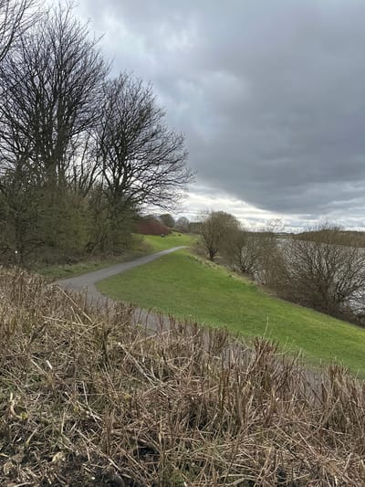 The photograph depicts a path winding through a park in Dunfermline, United Kingdom. Overcast skies dominate the scene. Leafless trees are visible on either side of the path. Short, dry shrubs line the right edge of the frame. Green grass covers the gently sloping terrain. In the distance, a glimpse of a building with a reddish-brown roof is visible. The absence of people or visible activity suggests a quiet, possibly chilly day. Overhead power lines can be seen in the distance.