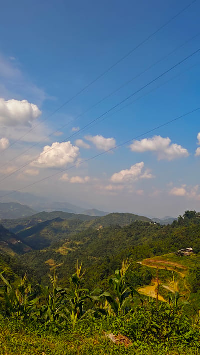 The image depicts a landscape in Mậu Duệ Commune, Vietnam, featuring a hillside vista under a partly cloudy blue sky. Power lines stretch across the upper portion of the frame. The hillsides are covered with dense green vegetation, including corn plants in the foreground. Terraced land is visible on one of the hills. A building is situated on the terraced hillside. A road is present in the scene.
