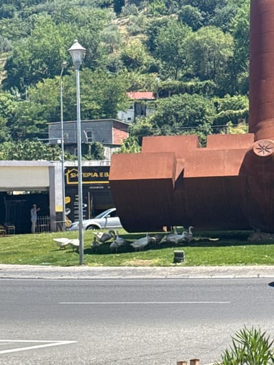 The image depicts a street scene in Shkoder, Albania. In the foreground, a road with white markings separates the viewer from a grassy area. Several geese are visible on the grass, some walking and others gathered together. Behind the geese, a large, rusty, curved metallic structure dominates the mid-ground. To the left of this structure, a building with an awning displays signage that reads "SHTEPIA EB". A person in casual clothing stands near an opening in this building, appearing to be holding a phone. A silver car is parked in front of the building. In the background, a street lamp stands tall, and behind it, the terrain slopes upwards, covered in dense green foliage and several buildings, some with red-tiled roofs. The overall impression is a sunny day in an urban or semi-urban environment.