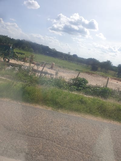The image depicts a rural or semi-urban landscape in Kinanie ward, Kenya, captured from a slightly elevated perspective. In the immediate foreground, the surface of an asphalt road, textured with dark aggregate, occupies the lower portion of the frame. Directly above the road, a strip of green grass and unkempt vegetation borders a lighter-colored dirt or gravel path. Along this path, several rudimentary wooden fence posts are visible. To the left, a structure or object covered with a green tarp is partially obscured, accompanied by what appears to be discarded tires. Further right on the dirt path, two light-colored sacks, potentially containing goods or materials, stand upright. In the mid-ground, a broad expanse of green field stretches towards a distant tree line. A small, dark, rectangular structure, possibly a kiosk or shelter, is discernible amidst vegetation on the right side of the field. The background consists of dense green foliage and trees under a bright blue sky with scattered white cumulus clouds, suggesting clear daytime conditions. No individuals are visible.