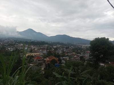 An elevated panoramic view captures a densely populated urban area, identified as Bhupalpally, India, transitioning into a mountainous backdrop under an overcast sky. The foreground is dominated by lush green vegetation, including tall blades of grass on the left and broad-leafed plants in the lower right and center. No human subjects or discernible actions are visible in the immediate foreground. The midground features a sprawling residential area comprised of numerous buildings with varied roof colors, predominantly terracotta, grey, and light shades. Structures are closely packed, interspersed with trees and foliage. Roads and pathways are visible winding through the urban layout. The background presents a series of vegetated mountains, dark green to bluish-grey, with the leftmost peaks partially obscured by low-hanging clouds or mist. The sky is uniformly covered with grey clouds, indicating diffuse light conditions. No specific individuals or their interactions are identifiable within the urban expanse due to the viewing distance.