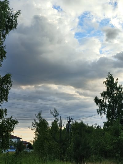 The image depicts a natural landscape with a dramatic sky. In the foreground, there is lush green grass and vegetation. Several trees are visible, with one large birch tree on the right side of the frame prominently displaying its characteristic white bark and drooping branches. Power lines stretch horizontally across the middle of the image, supported by utility poles, one of which is clearly visible on the right. In the background, houses with brown roofs can be seen peeking through the trees. The sky is filled with a mixture of dark, heavy clouds and patches of bright blue sky, suggesting an overcast or stormy weather condition with intermittent sunlight. The overall scene conveys a sense of rural or semi-rural environment.