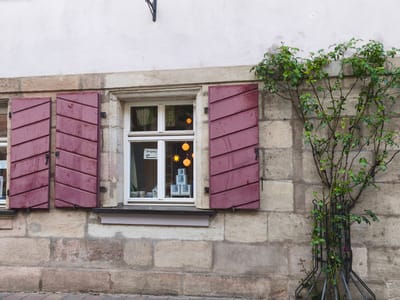 The image shows a close-up of a building facade in Erlangen, Germany. The facade is constructed of light-colored stone blocks. To the left of the image, a window is visible with closed burgundy shutters. The shutters are made of wooden slats with a diagonal pattern. To the right of the window, a young tree with green leaves is growing, supported by a dark metal structure. The tree is positioned against the stone wall. The window itself has a white frame and contains multiple panes of glass. Inside the window, merchandise is displayed, including several orange spherical lamps and stacked boxes or decorative items. A sign with an arrow and the German word "Eingang" (entrance) is also visible through the glass. The overall impression is that of a shopfront or residential building in a historic European city.
