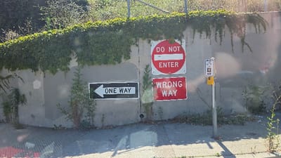 A concrete wall covered with green vines displays four signs. From left to right: "One Way" with a left arrow, "Do Not Enter" in red circle and white bar, "Wrong Way" in red letters, and a smaller directional sign on a pole with a yellow button. The wall is at street level with some weeds growing along the base. Light flares across the image.