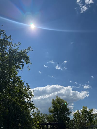 An outdoor, low-angle shot captures a bright blue sky with scattered white clouds. The sun is visible in the upper left corner, emitting a strong glare that causes lens flare across the image. In the distance, a small airplane is flying across the sky. The foreground is dominated by the dark green foliage of trees, with branches extending into the frame from the left and bottom edges. Some of the leaves are illuminated by the sunlight. The scene suggests a clear, sunny day. The location is identified as Petrovskoye, Russia.