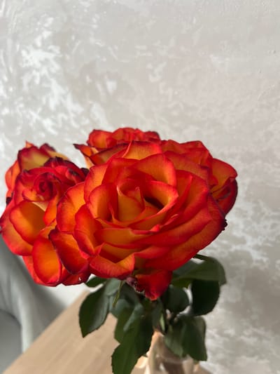 The image displays a close-up, eye-level view of a bouquet of roses. The roses exhibit a gradient of color, transitioning from a vibrant orange at the center to a deep red at the petal edges, with some darker, almost black tips on the outermost petals. The petals are layered and appear to be slightly unfurling. Several roses are visible, with the one in the foreground being the most in focus. Dark green leaves are present beneath the blooms, and a hint of a vase is visible at the bottom, containing the flowers. The background is a textured, light-colored wall, casting abstract shadows that create a dappled effect. The lighting suggests it is daytime, possibly near a window. The scene is domestic and does not appear to be associated with any specific location in the city of Lyepyel, Belarus.
