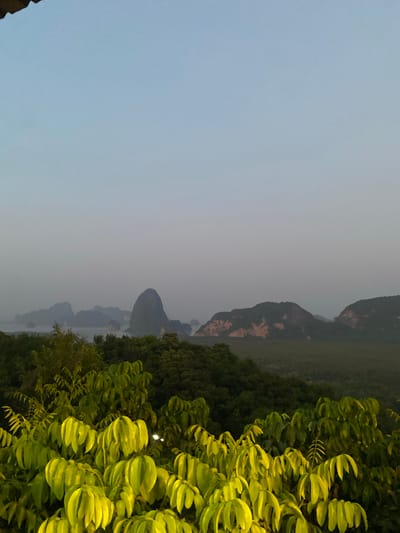 The image shows a landscape in Khlong Khian, Thailand. The sky is a pale, muted gray. Mountains and forested areas stretch across the middle of the image. The foreground is dominated by lush green foliage, its leaves appearing smooth and plump.