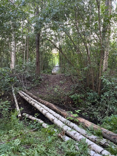 The image depicts a natural wooded environment, possibly a park or forest area within the city of Nagorny, Russia. In the foreground, several fallen logs, some appearing to be birch with distinctive white bark, lie horizontally across a slightly damp, vegetated area. Beyond the logs, a dirt path or clearing ascends gradually, disappearing into a dense thicket of trees. The path is partially obscured by fallen branches and undergrowth, suggesting a less maintained trail. Further in the distance, at the top of the incline, a small, weathered structure, possibly made of metal or concrete, is visible. The overall scene is characterized by abundant green foliage, with a mix of deciduous trees and underbrush, and natural light filtering through the leaves. There are no people or animals visible in the image.