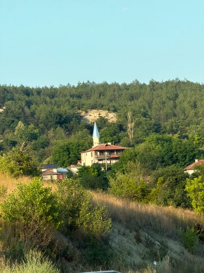 The image shows a view of a village nestled among trees, with a clear blue sky above. In the foreground, a grassy slope with dry, tall grasses is visible. The middle ground features several houses, one of which appears to be a mosque with a distinctive blue-conical minaret. The houses have red tile roofs. The background is dominated by a dense forest of green trees, covering a hillside. The overall impression is one of a rural, tranquil setting. The specific location in Madrets, Bulgaria, is not explicitly indicated in the image itself, but the architecture and vegetation suggest a Balkan or Eastern European setting.