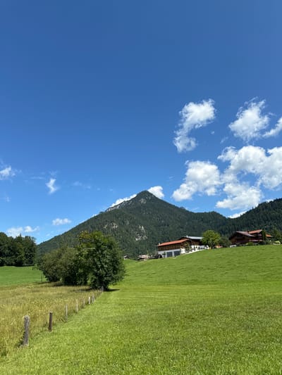 This is a landscape photograph taken on a sunny day in Bischofswiesen, Germany. In the foreground, a lush green meadow is visible, divided by a rustic wooden fence. The meadow transitions into a field of taller grass with wildflowers. In the mid-ground, several trees dot the landscape, and a few buildings with red tiled roofs are situated on a gently sloping hill. The largest building appears to be a modern hotel or guesthouse with white walls and large windows. In the background, a majestic, tree-covered mountain dominates the scene, with its peak partially obscured by a few white clouds scattered across a bright blue sky. The overall impression is one of natural beauty and tranquility.