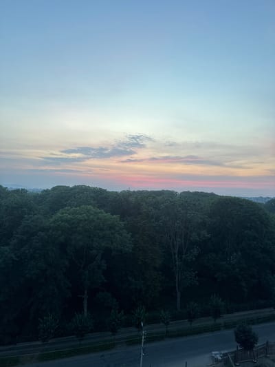 This image captures a serene natural landscape at dusk, viewed from an elevated perspective. The scene is dominated by a vast expanse of sky transitioning from a pale blue to hues of pink and orange, indicative of either sunrise or sunset. Wispy clouds are scattered across the horizon, catching the soft light.
Below the sky, a dense forest stretches across the frame, its dark green foliage forming a rich tapestry of trees. The trees appear lush and full, suggesting a temperate climate. The forest canopy is so thick that individual trees are difficult to discern, creating a unified mass of greenery.
On the right side of the image, a paved road runs alongside the forest. The road is empty, with faint markings indicating lanes. A few utility poles with wires are visible along the roadside, suggesting a nearby settlement or infrastructure. A hint of buildings can be seen in the far distance, on the horizon between the sky and the forest, suggesting a town or city on the edge of the natural landscape.
The overall mood of the image is peaceful and tranquil. The soft lighting and the quiet, natural setting evoke a sense of calm. The time of day, clearly either dawn or dusk, contributes to this atmosphere. There is no visible text in the image. The location context of Kolomyia, Ukraine, would place this scene in a region known for its natural beauty and forested areas, consistent with the visual elements presented.