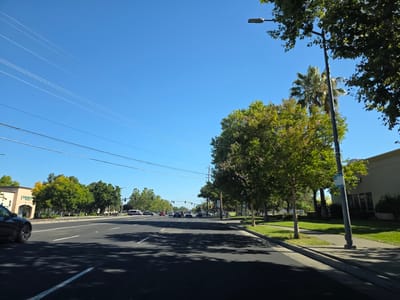 The image depicts a street scene in Elk Grove, USA, on a clear, sunny day. The perspective is from a vehicle traveling down a multi-lane road. Power lines stretch across the bright blue sky.
In the foreground, the dark asphalt road is marked with white lane lines, casting dappled shadows from nearby trees. To the left, a black car is visible. The right side of the road features a sidewalk, a well-maintained grassy area, and several trees, including a palm tree. A street light stands on a pole alongside the sidewalk.
Further down the road, traffic is present with several cars and a white van. On the left side of the road, commercial buildings with light-colored facades line the street, and more trees are visible. On the right, more trees and grassy areas suggest a park or open space beyond the sidewalk. Traffic lights are visible in the distance, indicating an intersection.
The scene appears to be a typical daytime urban or suburban environment, likely during the late morning or early afternoon given the bright sunlight and long shadows. No specific events are taking place, beyond the general activity of road traffic. No discernible text is visible in the image.