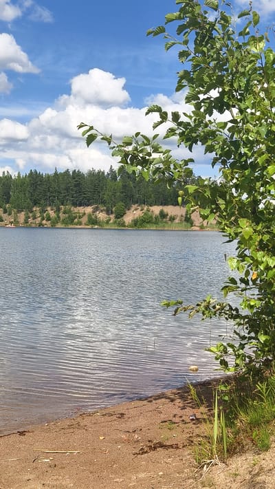 The image depicts a scenic view of a lake and its surroundings, likely in or near Gavrilovo, Russia. The foreground features a sandy shore with sparse vegetation and some scattered debris. The lake itself is calm with gentle ripples reflecting the sky. Across the lake, a treeline of dense green coniferous and deciduous trees forms the background, situated on a slightly elevated sandy embankment. The sky above is a vibrant blue with scattered fluffy white clouds. In the middle distance, on the lake, a small red boat with at least two people is visible. A large leafy tree branch with green foliage is prominently positioned in the right foreground, partially obscuring the view. The overall impression is one of a tranquil natural landscape on a sunny day.