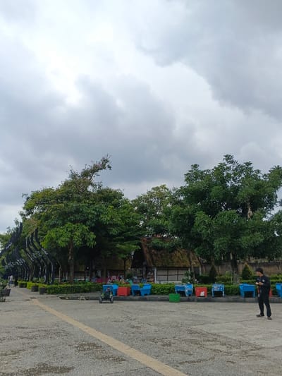 The image displays an outdoor public area in thành phố Biên Hòa, Vietnam, under a uniformly overcast sky. The foreground features a light gray asphalt surface with a single, worn, light-colored stripe running diagonally from the lower left towards the mid-right. A line of low, rectangular planters, predominantly blue and red, with some green, separates the paved area from a vegetated zone. Adjacent to these planters, in the lower center, is a small, green child's ride-on vehicle.
Behind the planters, numerous green trees form a dense canopy. Partially visible beneath the trees are several single-story structures characterized by traditional-style sloped roofs, which appear to be thatched or composed of dark tiles, and light-colored walls. Further to the left, a series of dark, curvilinear decorative structures or architectural elements are arranged in a line among additional trees.
In the right foreground, a male individual stands, dressed in a black long-sleeved top, black trousers, and a black baseball cap. He is facing slightly left and looking down at a small object held in his hands. Indistinct human figures are also visible in the vicinity of the traditional structures and along a pathway on the far left side of the scene.