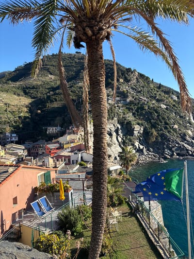 This image depicts a panoramic view of Vernazza, Italy, from an elevated vantage point. A prominent palm tree with a thick, textured trunk and fronds occupies the central foreground, partially obscuring the scene.
To the left of the palm tree, a cluster of multi-story buildings with colorful facades (pink, red, yellow, white) and a mix of tiled and flat roofs extends down a hillside. Some rooftops feature solar panels. Below these buildings, a terraced outdoor area is visible. This area includes a patio with two blue lounge chairs, a closed yellow umbrella, and potted plants. Adjacent to the patio is a well-maintained green lawn, bordered by a black metal fence. White outdoor chairs are present on this lawn.
Beyond the town, a steep, green hillside rises, characterized by extensive terracing, indicative of cultivation (likely vineyards or olive groves). Further up the hill, scattered buildings are visible. To the right of the palm tree and extending into the background, rugged, rocky cliffs meet the clear, blue-green waters of the Ligurian Sea. A smaller palm tree grows near the coastline at the base of the cliffs.
In the lower right, a flag pole stands on the edge of the coastal property, flying a blue and green flag with yellow stars on the blue section, which is the flag of the Liguria region, unfurled by an unseen breeze over the sea. The sky above is clear and bright blue. No individuals are visible in the scene. The overall lighting suggests bright daylight.