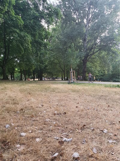 This image depicts a park in Freiburg im Breisgau, Germany, characterized by dry, golden grass in the foreground and lush green trees in the background. The scene captures a leisurely atmosphere with several individuals present. A woman in a striped dress is riding a bicycle on a paved path that winds through the park. To her left, two bicycles are parked near a wooden pole. Further in the background, a group of people are visible, some sitting and others standing, with some children present. The park is well-treed, with tall trees providing shade. The ground cover is predominantly dry grass, with some fallen leaves scattered about, suggesting a drier period. The overall lighting indicates it is daytime, with the sky being overcast or bright.