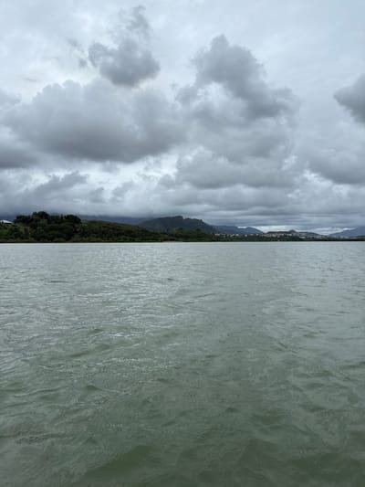 The image displays a panoramic view across a wide body of rippling, greenish-grey water, consistent with an estuary or bay, located in Dumbéa, France. The foreground consists entirely of the water's surface, showing numerous small waves. In the midground, a distant shoreline is visible, characterized by a continuous band of dense, dark green vegetation. Partially obscured, light-colored structures, identified as buildings, are present within this vegetation: a solitary example on the far left, and a cluster of several buildings on the right, indicating a settlement. The background features a range of verdant hills or low mountains, set against a sky completely covered by thick, dark grey clouds. No individuals, animals, or specific activities are observable. The scene is under uniform, diffuse illumination from the overcast sky.