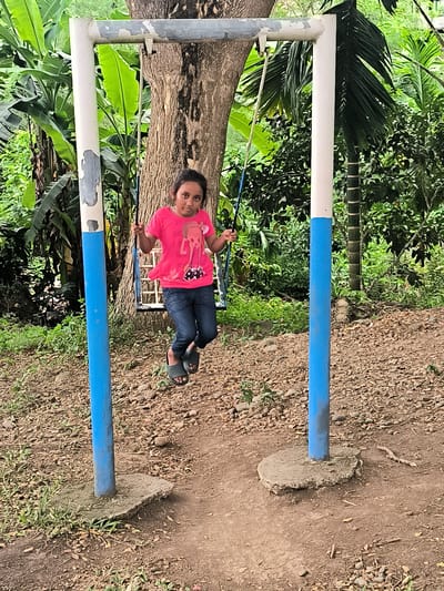 A young girl is captured mid-air on a swing set in an outdoor, tropical setting. She is positioned centrally in the frame, facing forward with a neutral expression, looking directly at the viewer. She wears a bright pink short-sleeved t-shirt with a graphic design, blue jeans, and dark slip-on sandals.
The swing set is made of metal, with two vertical posts painted white and blue, and a horizontal crossbar. The paint on the frame shows signs of wear and chipping. The vertical posts are anchored in circular concrete bases on the ground. Blue ropes suspend the swing seat, which is partially visible.
Behind the girl and the swing set, a large tree trunk with textured bark is prominent, flanked by dense green foliage. To the left, large banana plant leaves are visible. To the right, palm fronds and other lush green plants create a rich background. The ground beneath the swing is a mix of bare earth, small rocks, and scattered dry leaves, with some patches of green grass. A well-trodden dirt path is visible directly under the swing.
The scene appears to be taking place during the daytime under bright, possibly overcast, conditions. The environment suggests a warm, tropical climate, consistent with the Lambarotunong, Indonesia location context. There is no visible text in the image.
