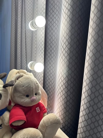 The image shows a low-angle shot upwards towards a reflective surface on which a stack of plush toys and two light bulbs are visible. The toys appear to be a bunny wearing a red shirt with white logo and a white dog with a blue collar. The reflection shows a gray textured surface, resembling a ceiling or wall covering with a diamond pattern. It is not possible to determine the location in Zima Juzhnaja, Russia from this image. There are no people visible.
