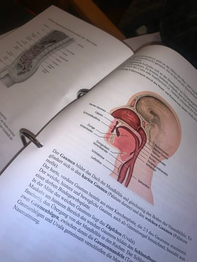 The image features an open textbook displaying anatomical illustrations and German text about the oral cavity. One page has a diagram of a sagittal section of the head and neck, labeling structures like the hard palate, lips, teeth, tongue, tonsils, uvula, trachea, and esophagus. The opposite page includes a cross-section diagram and text that describes the palate's composition, including its bony front portion and the soft, muscular back portion with the uvula, and the surrounding structures.
