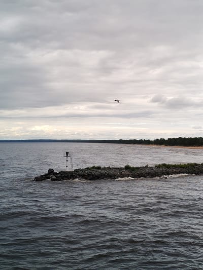 An overcast sky with textured gray clouds looms over a dark, choppy body of water. In the distance, a long, tree-lined shore stretches across the horizon. In the foreground, a rocky jetty juts out into the water. On the jetty, a navigational marker with black and white stripes stands next to a ladder. A single bird is in flight against the clouds. The scene depicts the natural environment of Ozernoe Ust'e, Russia.