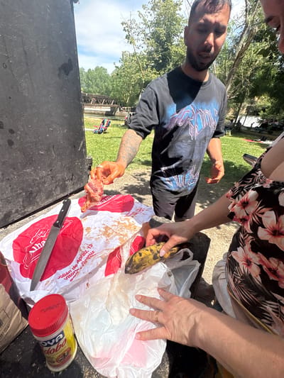 The image shows a close-up view of two people preparing food outdoors, likely a barbecue or picnic. A man in a dark t-shirt is holding a piece of raw meat in his right hand, which appears to be coated in a reddish marinade. He is wearing a ring on his right index finger. Next to him, a woman in a floral print top is reaching towards a banana with her left hand, which is resting on a plastic bag. Her right hand is also visible, and she is wearing a gold ring on her ring finger.

On a table or surface in front of them are various items: a large knife with a black handle, a red plastic container with a yellow label that reads "GOYA adobo sazonador," a crumpled red and white plastic bag with some writing on it, and a clear plastic bag containing the banana. There is also some food residue scattered on the red and white bag.

The background suggests an outdoor setting with green grass, trees, and a body of water with a bridge in the distance. Sunlight is filtering through the trees, creating dappled shadows. The overall scene conveys a sense of casual food preparation in a park-like environment. The text on the red and white bag appears to be in Spanish, mentioning "Julían de Araiz, 13" and "Vitoria." This suggests a potential location in Spain. Specifically, the text "Vitoria" likely refers to Vitoria-Gasteiz, a city in the Basque Country, Spain. The mention of "Campezo" in the prompt suggests a possible connection to the region or a specific event. However, without further information, it is difficult to pinpoint the exact location within Campezo or its vicinity.